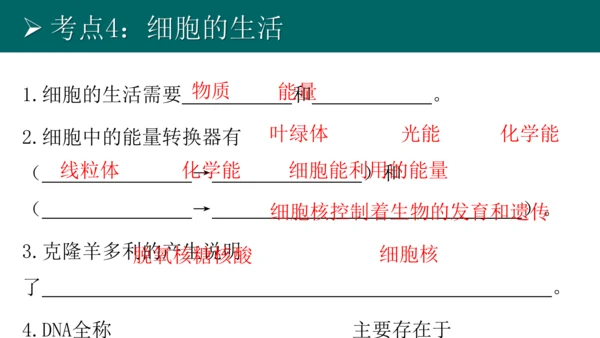 七上 第二单元生物体的结构层次-复习课件(共35张PPT)