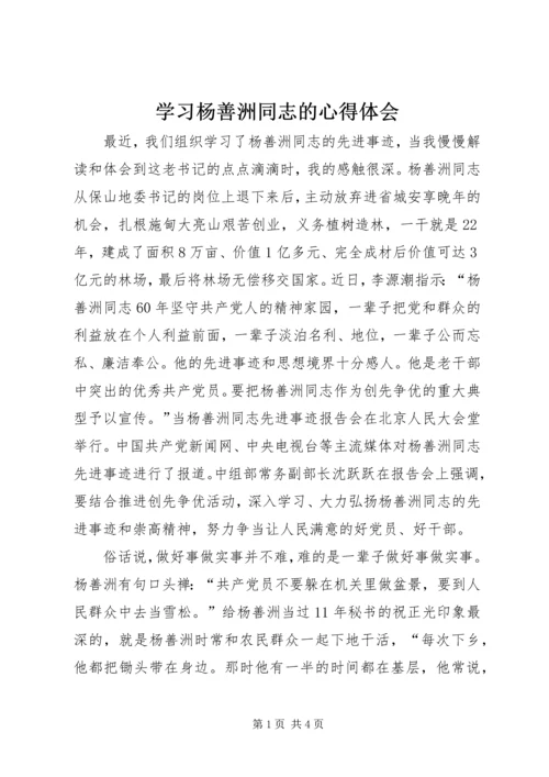 学习杨善洲同志的心得体会.docx