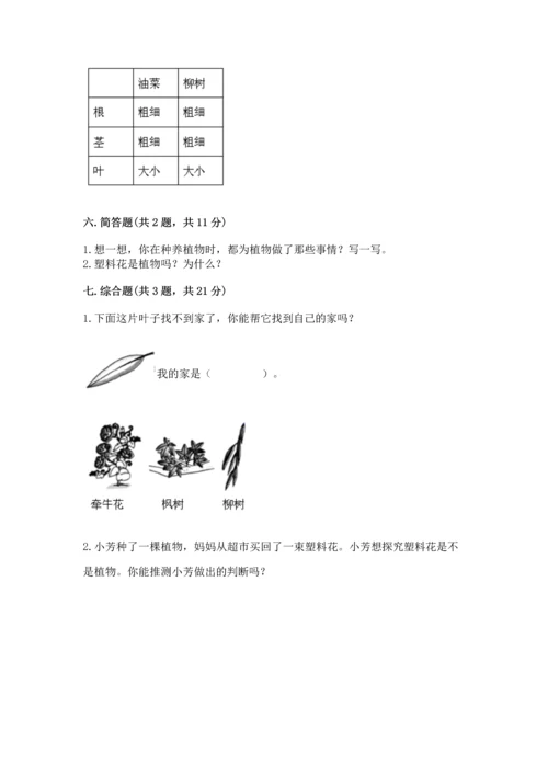 教科版科学一年级上册第一单元《植物》测试卷含答案（综合卷）.docx