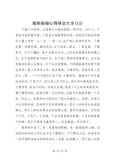 观焦裕禄心得体会大全(13).docx