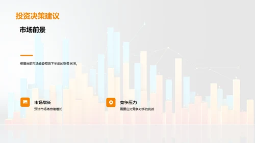 财务半年度分析