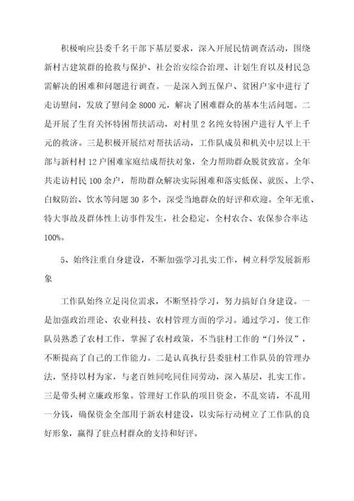 村领导工作总结报告