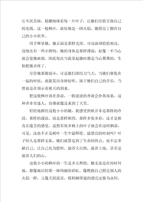 关于树叶的作文30篇