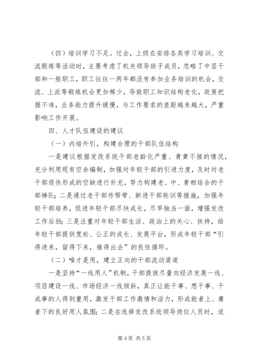 发改委人才队伍的调研报告.docx