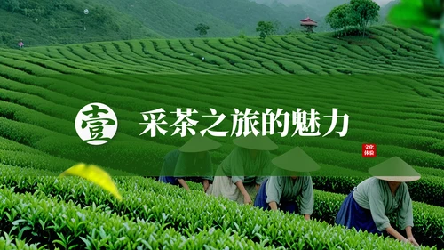 茶文化采茶旅游PPT模板_采茶之旅与文化体验报告PPT模板