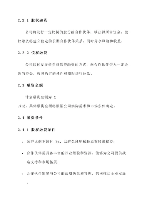 企业合伙人融资方案