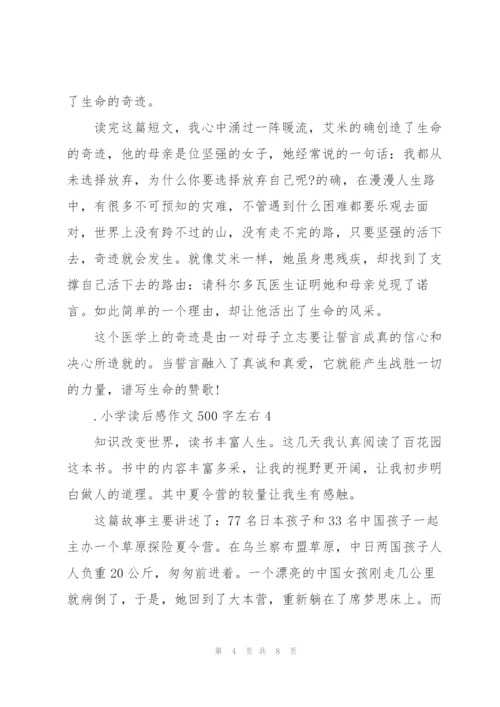 小学读后感作文500字左右6篇.docx