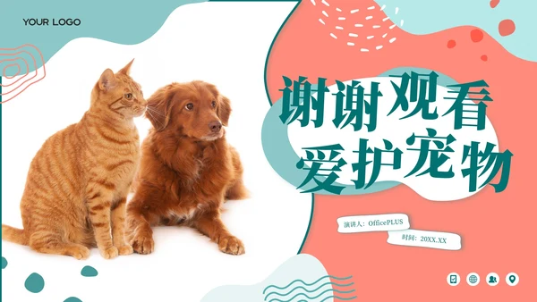 莫兰迪色卡通风宠物饲养心得经验分享PPT模板