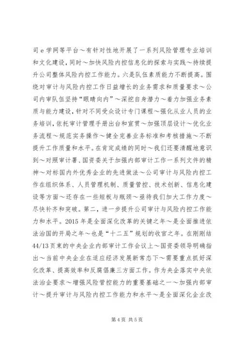 内审分管领导讲话 (3).docx