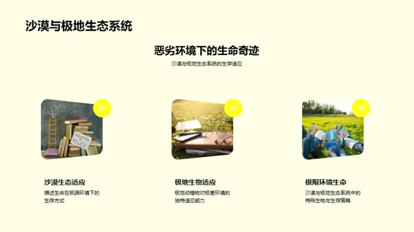 生态守护：地球之旅