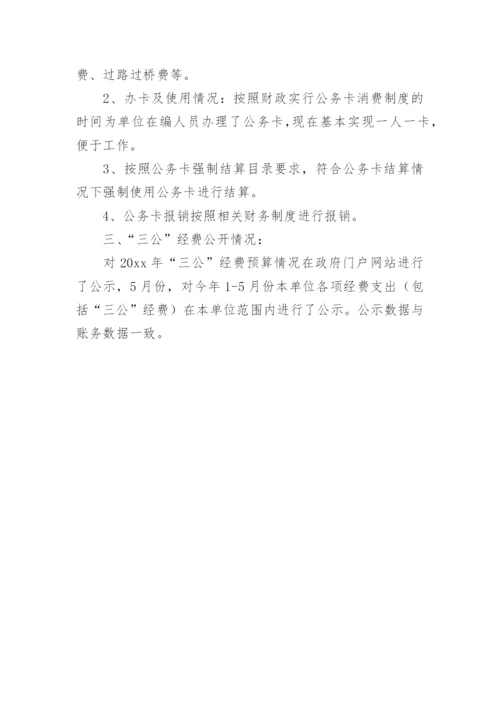 三公经费使用自查报告.docx