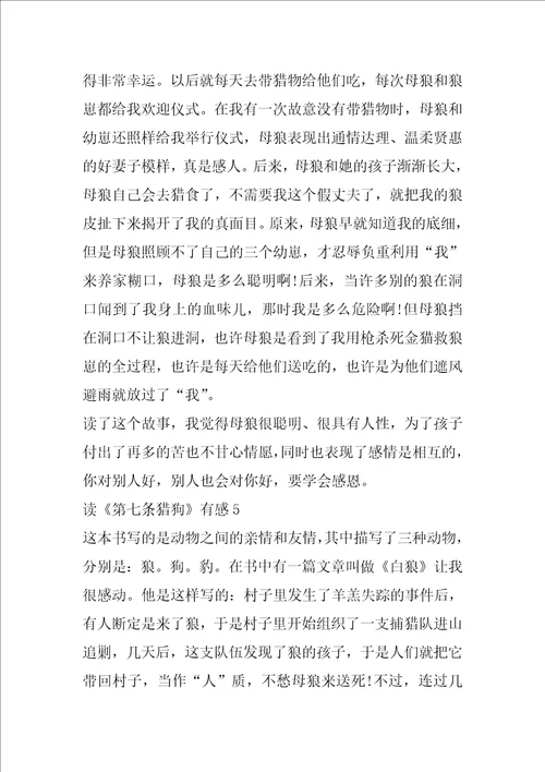 读第七条猎狗有感精选600字范文