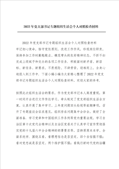 2022年党支部书记专题组织生活会个人对照检查材料