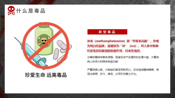 珍爱生命远离犯罪禁毒通用PPT课件