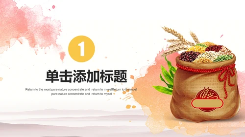 五谷杂粮农产品介绍宣传汇报PPT模板