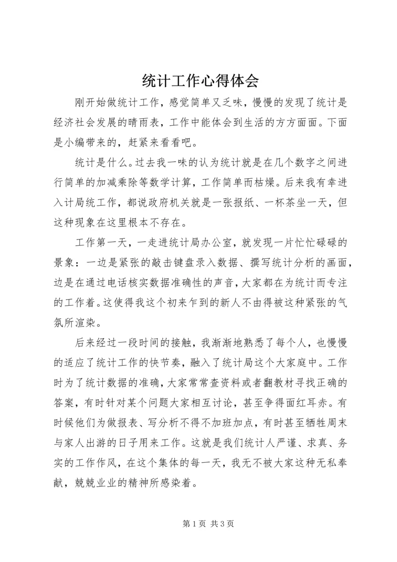 统计工作心得体会.docx