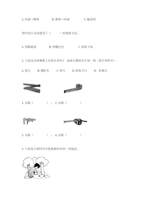 教科版一年级上册科学期末测试卷（突破训练）.docx