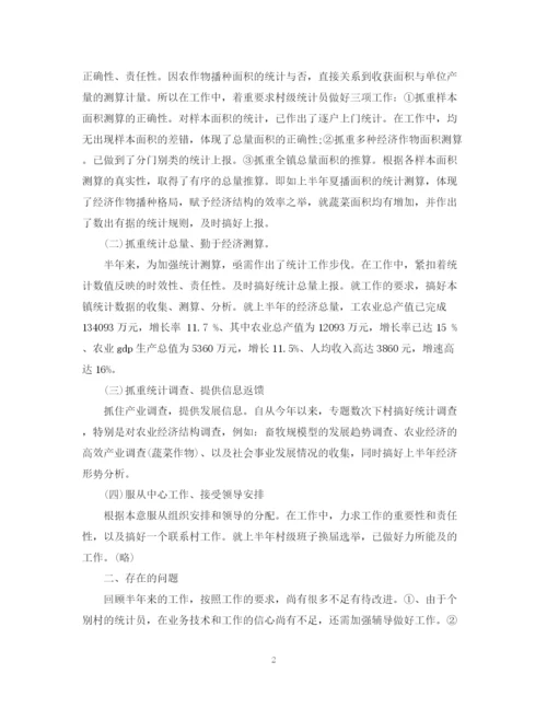 精编之乡镇统计年度总结范文2.docx