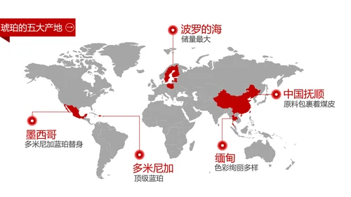 典雅轻奢琥珀藏品专业知识讲座PPT模板