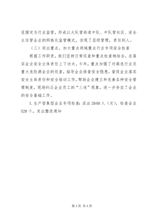 执法大队工作总结及工作计划 (3).docx