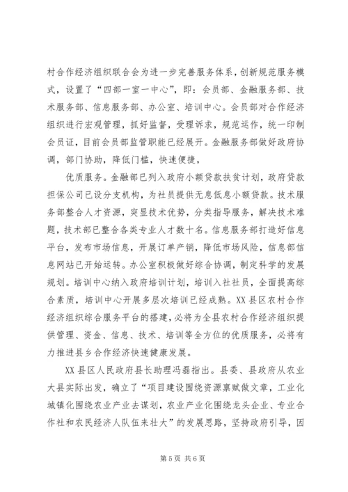 农村经纪人为农民致富架起“金桥”.docx