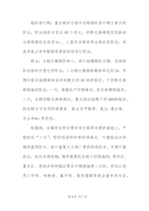 某年大春病虫害防治工作方案.docx