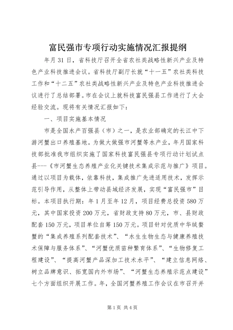 富民强市专项行动实施情况汇报提纲.docx