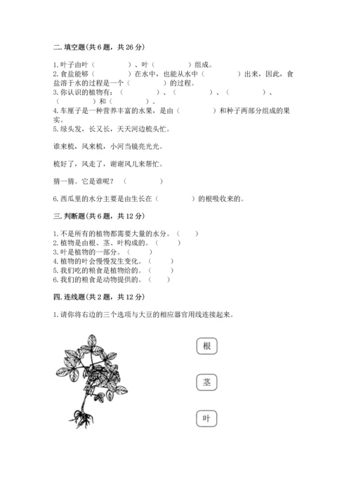 教科版科学一年级上册第一单元《植物》测试卷含完整答案【必刷】.docx