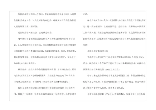 小额担保贷款工作总结