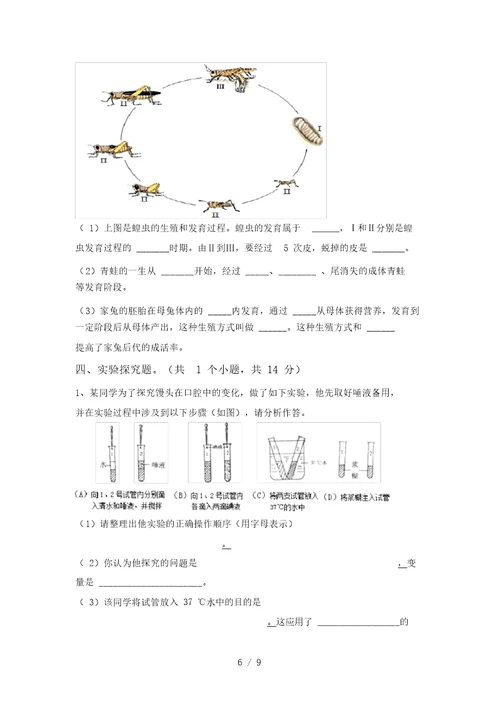 2021年北师大版九年级生物上册期末考试题(2021年)