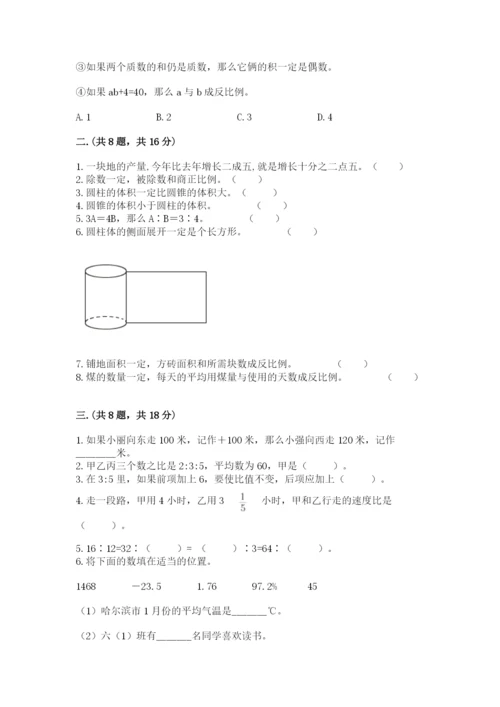 河南省平顶山市六年级下册数学期末测试卷带答案（新）.docx