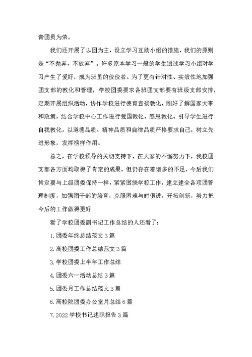 学校团委副书记工作总结
