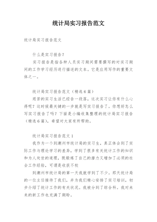 统计局实习报告范文.docx