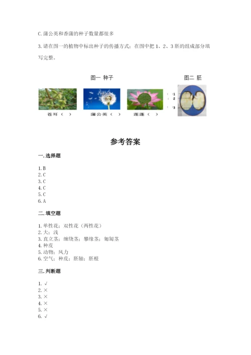 教科版四年级下册科学第一单元《植物的生长变化》测试卷【夺冠系列】.docx