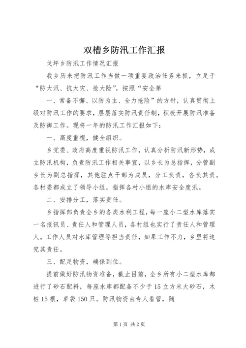 双槽乡防汛工作汇报 (4).docx