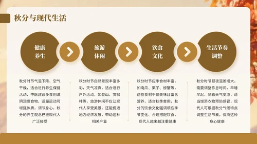 棕色卡通中国风秋分节气宣传知识PPT