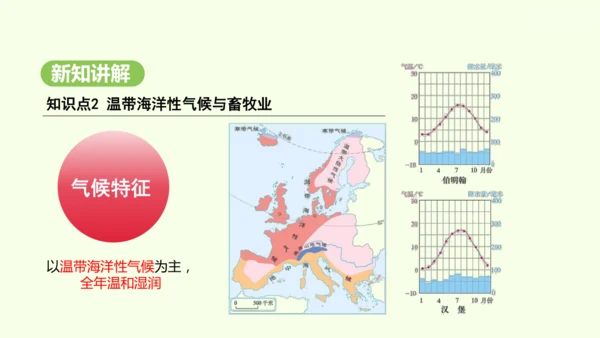 9.2 欧洲西部（课件32张）-2024-2025学年七年级地理下学期人教版(2024)