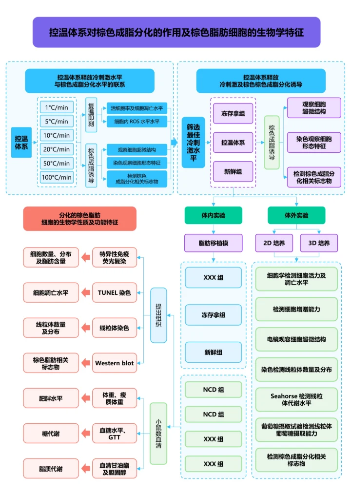彩色清新通用论文流程图