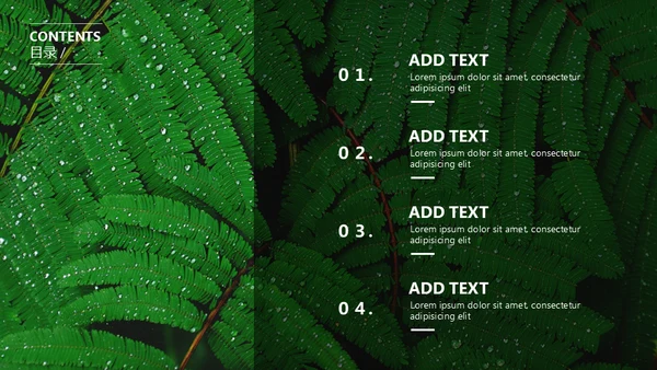 绿色环保自然环境公益知识绿叶通用PPT模板