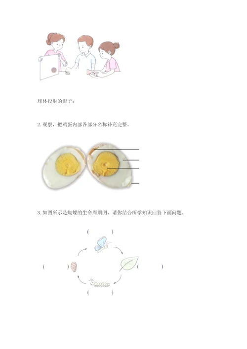 教科版三年级下册科学期末测试卷带答案（预热题）.docx