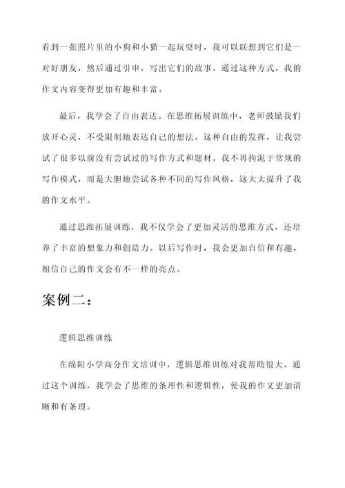 绵阳小学高分作文培训心得