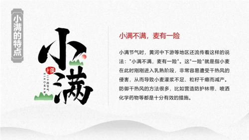 小满节气介绍PPT模板