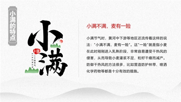 小满节气介绍PPT模板
