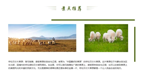 风吹草地见牛羊，内蒙古介绍通用PPT模板