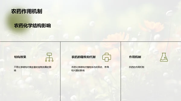 农药化学：解析与应用