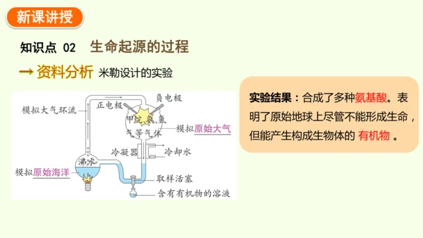 7.3.1地球上生命的起源-八年级生物人教版下学期同步精品课件(共23张PPT)