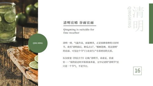 绿色大气清新绿植清明节主题PPT模板