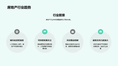 公司发展盘点与展望