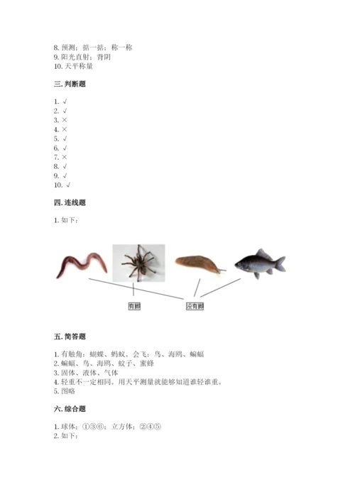教科版一年级下册科学期末测试卷精品（含答案）.docx