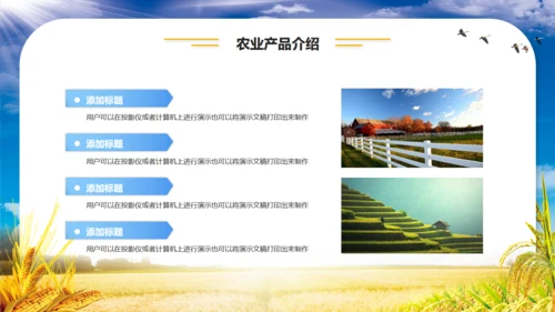 农业项目招商融资报告通用PPT模板